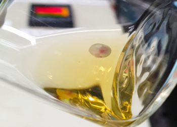 Bebeklerimizi robotlar doğurabilecek  mi?